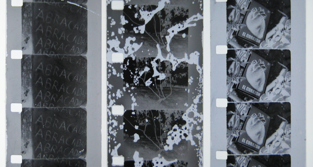 16mm filmstrips with words, nature, and garbage by Katherine Bauer