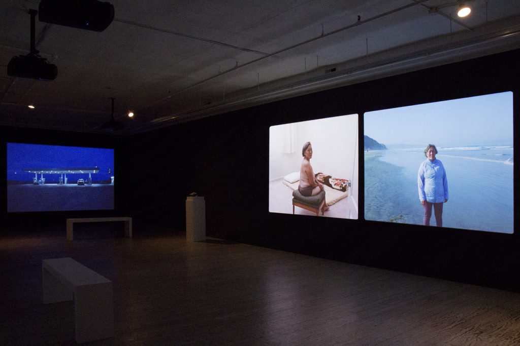 Installation view of Tenzin Phuntsog's exhibition Pure Land, video projections